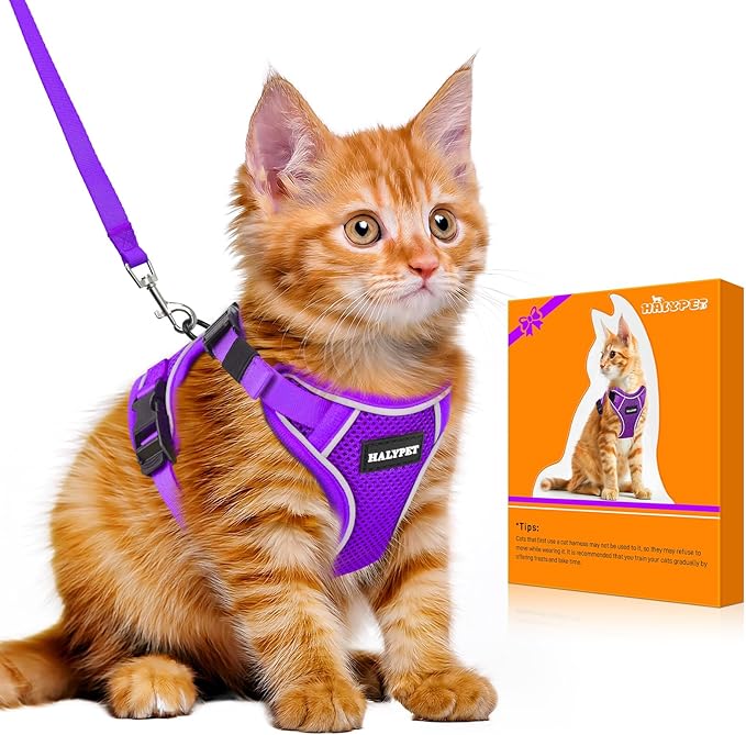 Halypet Cat Harness and Leash Set [MAX Safety 4th-Gen Upgrade] Escape Proof Adjustable Cat Leash Comfortable Soft Vest Easy to Wear Kitten Harness with Reflective Strip for Cats Walking, M Purple