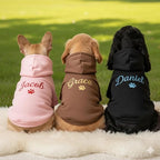 Personalized Name Dog Hoodie, Embroidered Hoodies Pets Name, Custom Pet Memorial, Bright Puppy Sweatshirt, Customized Pet Clothes Warm Winter Outfit for Dogs, Gift for Dog Lovers Style 2