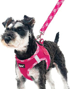 PUPTECK Dog Harness and Leash Set for Small Medium Dogs No Pull Step-in Soft Mesh Puppy Cat Vest Harnesses Reflective at Night, Fuchsia, S
