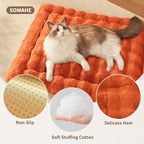 Self-Warming Cat Bed, Plush Faux Fur Pet Bed Mat with Anti-Slip Bottom, Ultra Soft Heated Pad for Cats & Kittens, Cozy Fluffy Bed for Window & Sills Couches, Machine Washable, 23x15 Inch Orange