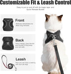 PetiFine Extra Small Step in Dog Harness and Leash Set, Cat Harness and Leash Escape Proof, All Weather Mesh Reflective, Step-in Air Vest Harnesses for Puppy(XXXS, Black)