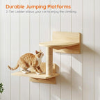 HOOBRO Cat Wall Shelves, Set of 2 Cat Wall Furniture, Wood Wall Mounted Cat Shelves with House, Steps, Scratching Posts and Perch, Space-Saving Shelves for Indoor Cats, Natural NL47CS03