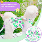 Dog Harness Dress Leash Set for Small Dog Summer Clothes Girl Female Puppy Cats Outfits Cute Floral Bowknot Princess Birthday Dress for Extra Small Pet Doggie Kitten Outfits Apparel(Green,L)