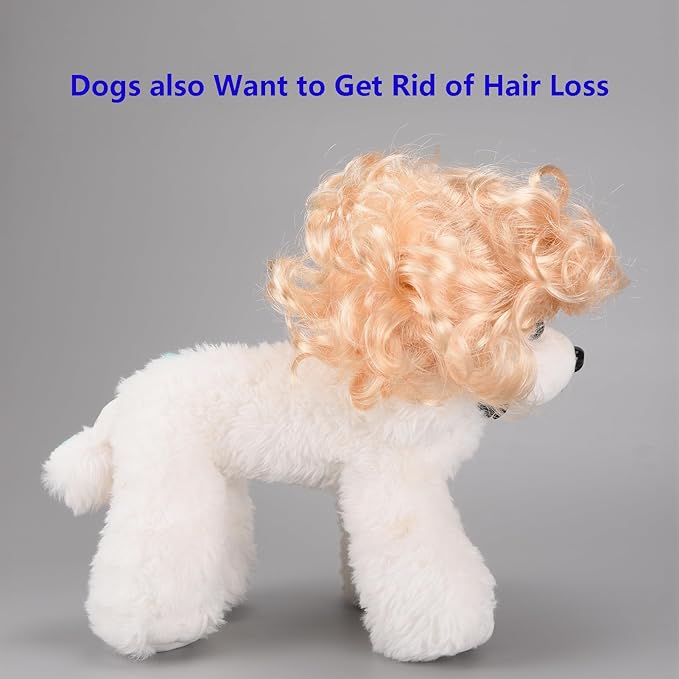 Funny Cosplay Wig for Dog, Headwear Apparel, Pet Costumes, Cat Dress up for Halloween, Christmas, Parties, Festivals (Curly Blonde Hair)