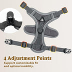 Cat Harness and Leash for Walking, Escape Proof Soft Adjustable Vest Harnesses for Cats (Grey, Medium)