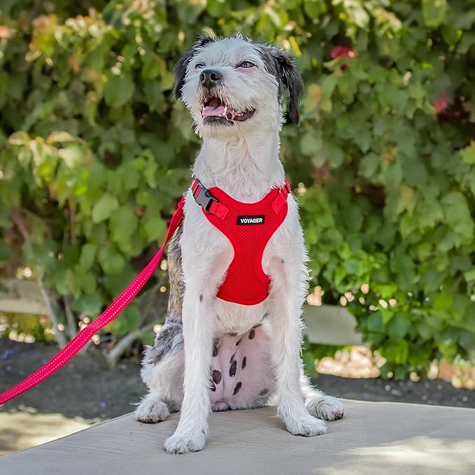 Voyager Step-in Pet Harness - All Weather Mesh, Adjustable Step in Harness for Cats and Dogs by Best Pet Supplies - Red, L