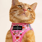 Lucy & Co. Cutie Patootie Step-in Cat Harness & Leash Bundle – Reflective, Breathable & Adjustable Harness for Cats, Kittens & Small Dogs, Lightweight & Secure and Dual Leash Clips – Large