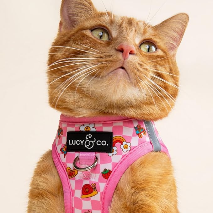 Lucy & Co. Cutie Patootie Step-in Cat Harness & Leash Bundle – Reflective, Breathable & Adjustable Harness for Cats, Kittens & Small Dogs, Lightweight & Secure and Dual Leash Clips – Medium