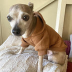 Jecikelon Winter Dog Hoodie Sweatshirts with Pockets Warm Dog Clothes for Small Dogs Chihuahua Coat Clothing Puppy Cat Custume (Coffee, Large)