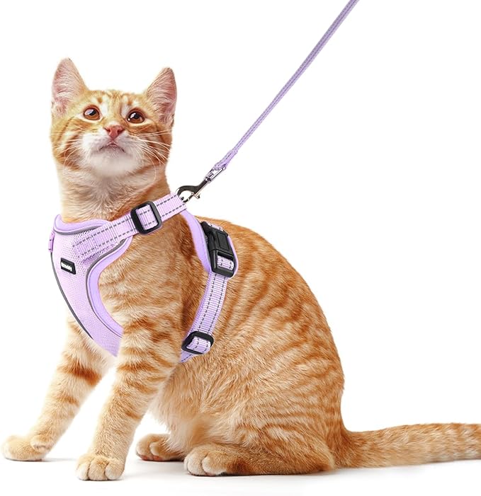Rttochfy Cat Harness and Leash Set, Adjustable and Reflective Cat Vest, Escape Proof Kitten Harness, Easy to Put on with 3 Buckles for Cats Walking and Traveling (Purple, M)