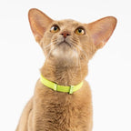 Safety Cat Collar - U.S. IDA Gold Award Design, Stretchy Elastic Quick Release Non Breakaway Cat Collar Light Weight for Kitten All Small Medium Large Cats (Burgundy, M (7.8-15.7 inch))