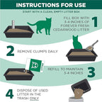 Arm & Hammer Forever Fresh Clumping Cat Litter Cedarwood, MultiCat 18lb, Pet Friendly with Essential Oils