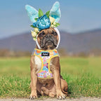 PUPTECK Dog Harness and Leash Set for Small Medium Dogs No Pull Step-in Soft Mesh Puppy Cat Vest Harnesses Reflective at Night, Easter Light Yellow, M