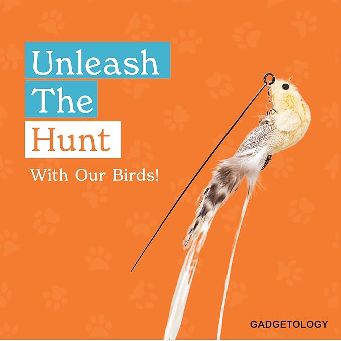 Interactive Bird Simulation Cat Toy Set for Bored Indoor Adult Cats Feather Toy Wand 5 Pcs Natural Bird Feathers Stable Round Base Wand Cat Toys for Indoor Cats Hunting Toys