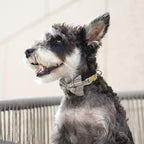 Beirui Cute Small Dog Harness Collar and Leash Set with Bowtie, Soft Adjustable Plaid Puppy Harness for Small Sized Dogs Cats Walks Parties and Photoshoots(Gray,S:Chest 17-23")