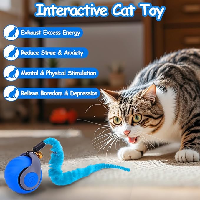 2PCS Interactive Cat Ball Toy, Self Rolling Ball with Cover Anti-Scratch for Bored Indoor Cat Chasing, Obstacle Avoidance Smart Cat Toys for Enrichment, Motion Activated Toys to Keep Them Busy