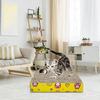 Kitten Starter Kit - 15 Piece Cat Essentials Set Includes Litter Box, Toys, Collars, Scratch Pad, Nail File, Automatic Feed Bowls, Grooming Gloves (Gray)