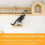 Cat Wall Shelves and Furniture Set with Condos, Perches, Bridge Ladders, Sisal Scratching Posts - Steps and Houses for Cats (D)