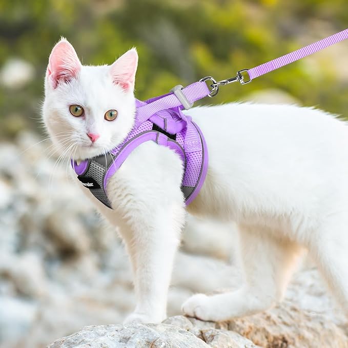 Dooradar Cat Harness and Leash Set, Escape Proof Lightweight Kitten Harness, Soft Breathable Reflective Vest for Outdoor Walking Traveling, Adjustable for Medium Cats, Grey & Purple, M