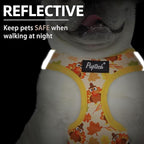 PUPTECK Dog Harness and Leash Set for Small Medium Dogs No Pull Step-in Soft Mesh Puppy Cat Vest Harnesses Reflective at Night Thanksgiving, Yellow Turkey, S