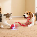 Interactive Electric Automatic Rolling Moving USB Rechargeable Self Activated Play Stimulation Toy Smart Chase Teaser Ball with Speedy Tail Rope for Bored Adult Indoor Cats and Dogs, Yellow