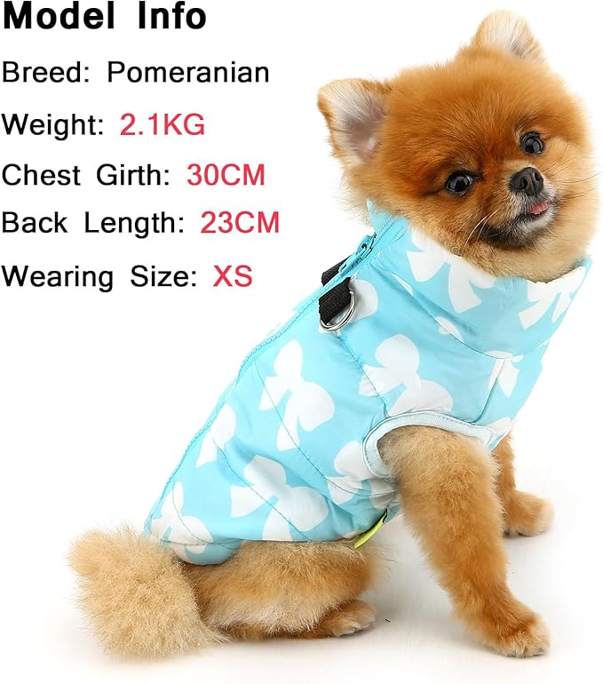 SMALLLEE_LUCKY_STORE Pet Water Resistant Winter Jacket Vest with D-Ring for Small Dog Cat Zip-up Padded Puppy Coat Chihuahua Yorkie Kitten Warm Clothes, Blue, L