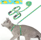 azuza Cat Harness and Leash Set for Safe Walking and Travel, Escape Proof Cat Harness, Lightweight Soft and Comfortable, Adjustable Kitten Harness for Small Medium Large Cats, Lemon