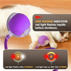 Rocfish Durable Interactive Cat Toys for Indoor Cats, Smart Automatic Cat Chase Ball Toy, Upgraded Speedy Tail Kitten Toy for Bored Indoor Adult Pets (Purple)