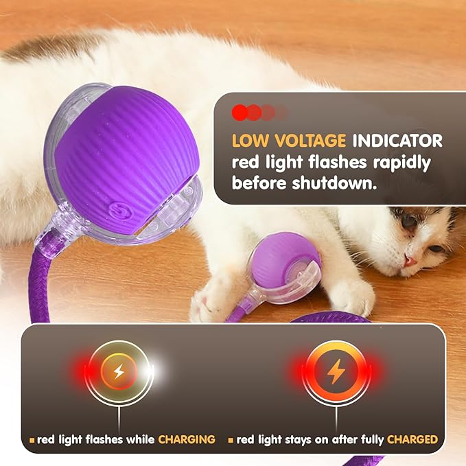 Rocfish Durable Interactive Cat Toys for Indoor Cats, Smart Automatic Cat Chase Ball Toy, Upgraded Speedy Tail Kitten Toy for Bored Indoor Adult Pets (Purple)