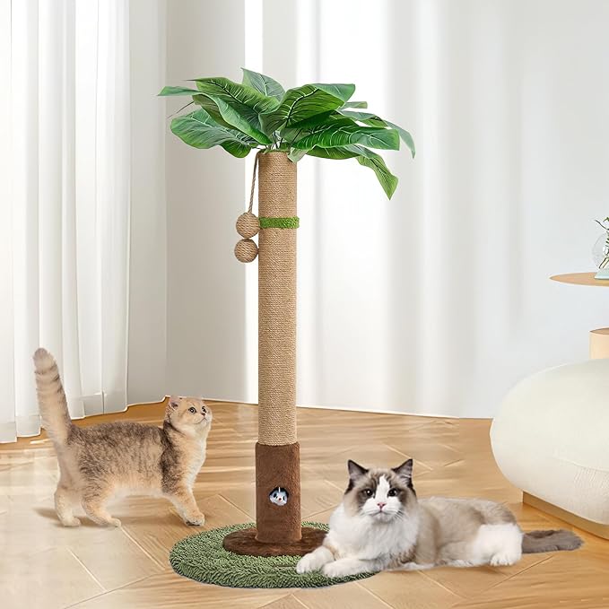 Cat Scratching Post for Indoor Cats and Kitten - 35.43" Tall Cat Scratching Post with Sisal Rope,Palm Tree Cat Scratch Post with Hanging Ball (35.4-Green, 35.4in)