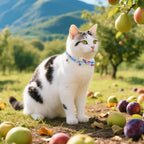 PUPTECK Summer Bow Tie Cat Collar with Bell - Breakaway Safety 3-Pack, Adjustable Bowtie Kitten Collars for Boy & Girl Cats, Puppies, Bunnies and Small Pets, Cute Costume Accessory, Fruit&Crab