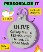 Bad Tags Personalized Dog and Cat ID Tags in 25+ Designs and 2 Sizes - 5 Lines of Custom Engraved Text - Funny Cute Personalized Pet Tags (Cheese Tax Collector, Large (1.25 inch))
