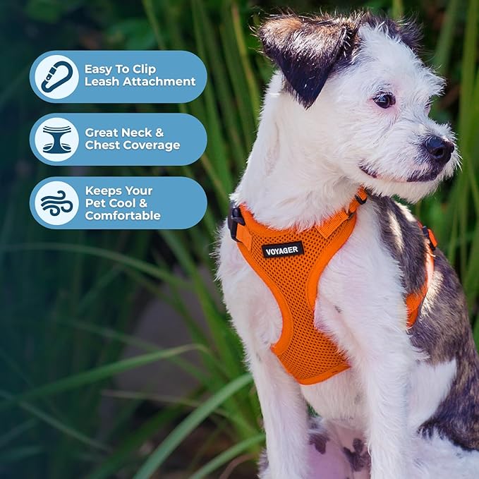 Voyager Step-in Pet Harness - All Weather Mesh, Adjustable Step in Harness for Cats and Dogs by Best Pet Supplies - Orange, M
