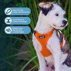 Voyager Step-in Pet Harness - All Weather Mesh, Adjustable Step in Harness for Cats and Dogs by Best Pet Supplies - Orange, XL