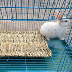PINVNBY Hay Mats for Rabbits,12 Pack Natural Rabbit Grass Mat,Small Animal Woven Bed Resting Sleeping,Chewing,Nesting and Toys Cage Grass Matts for Bunny Guinea Pig Hamster Hedgehog Squirrel