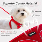 PetiFine Step in Small Dog Harness and Leash Set, Breathable All Weather Air Mesh Reflective Escape Proof, Step-in Vest Harnesses for Puppy(S, Red)