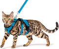 PUPTECK Cat Harness and Leash Set Escape Proof for Walking, Breathable Mash Vest Adjustable Harness for Cats Puppy Small Animals, Reflective at Night, Sky Blue Small