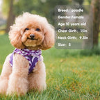 PUPTECK Dog Harness for Puppy and Small Sized Dogs, Step-in No Pull Soft Mesh Vest Harness for Cats Small Pets Walking, Purple, New XXS