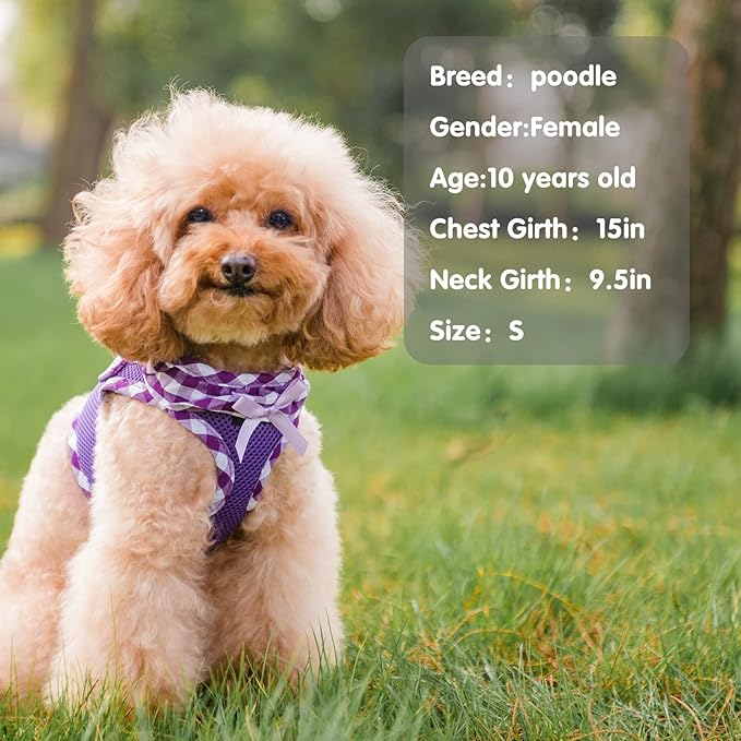 PUPTECK Dog Harness for Puppy and Small Sized Dogs, Step-in No Pull Soft Mesh Vest Harness for Cats Small Pets Walking, Purple, New XS