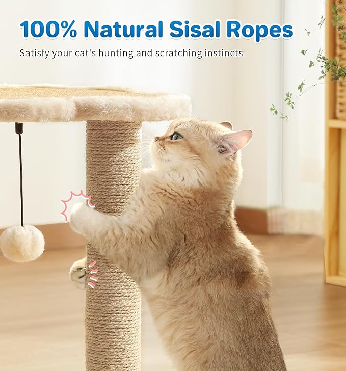 Made4Pets Cat Scratching Post, Cat Self Groomer for Indoor Cats, Cloud Soft Perch for Rest, 17.5" Tall Natural Sisal Scratcher Cat Grooming Interactive Ball Track Toys for Small Cats Kittens