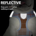 PUPTECK Adjustable Dog Harness Collar and Leash Set Step in No Pull Pet Harness for Small Medium Dogs Puppy and Cats Outdoor Walking Running, Soft Mesh Padded Reflective Vest Harnesses, BlueBrown XS