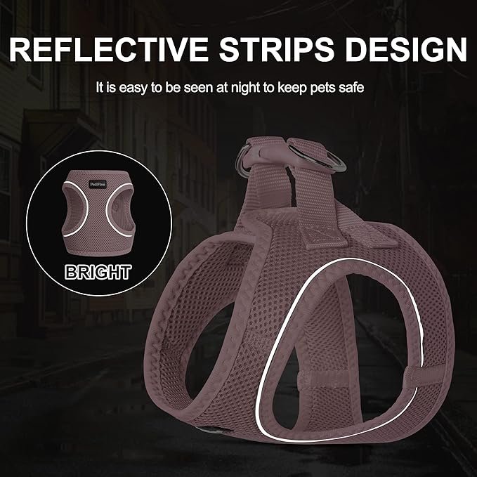 PetiFine Extra Small Step in Dog Harness and Leash Set, Cat Harness and Leash Escape Proof, All Weather Mesh Reflective, Step-in Air Vest Harnesses for Puppy(XXXS, Pink)