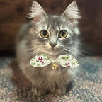 Bowtie Cat Collar with Bell, 2 Pack Cotton Breakaway Kitten Collars with Removeable Bow Stylish Cat Collars, Floral Green & Plaid