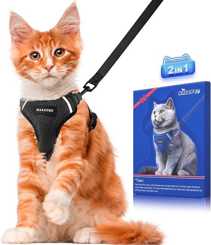 Halypet Cat Harness and Leash Set [ MAX Safety Third Generation ] Escape Proof Soft Adjustable Cat Leash Breathable Comfortable Vest Easy to Wear Kitten Harness for Outdoor Walking Black Small