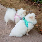 AMTOR Dog Harness with Leash Set,Upgrade No Pull Reflective Step-in Air All Weather Puppy Harness with Padded Vest for Small Dogs and Cats(Teal,Small)