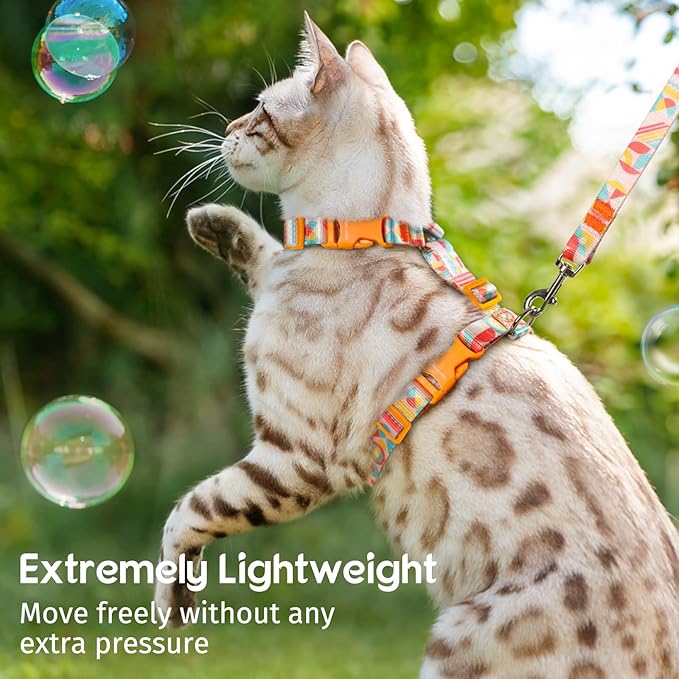 Dooradar Cat Harness and Leash, Escape Proof Adjustable Kitten Vest, Lightweight Soft Pet Straps, Easy Wearing for Small Medium Kitty Safe Walking Travel Control, Rainbow, M