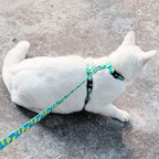 azuza Cat Harness and Leash Set for Safe Walking and Travel, Escape Proof Cat Harness, Lightweight Soft and Comfortable, Adjustable Kitten Harness for Small Medium Large Cats, Lemon