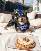 Dog Birthday Party Supplies,Pet Birthday Hat and Boy Doggy Birthday Bandana Set