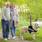voopet Service Dog Harness, Emotional Support Pet Vest Harness, Reflective Breathable and Adjustable No-Pull ESA Dog Harness for Small Medium Large Dogs (with 4 PCS Removeable Tags)