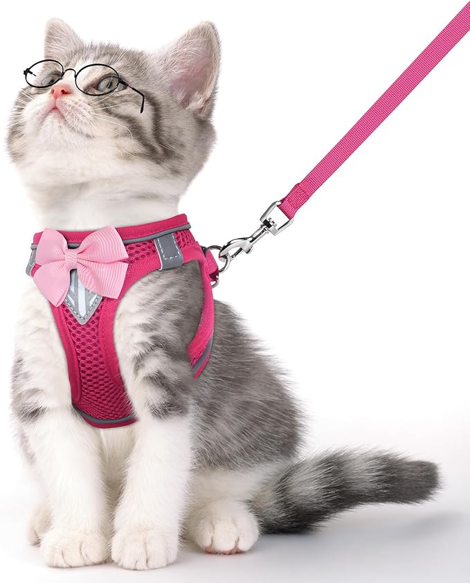 Cat Vest Harness and Leash Set for Walking Escape Proof, Adjustable Kitten Harness Breathable Mesh with Reflective Strips Harness for Kitty Puppy Bunny (Pink,XS)